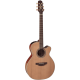 TAKAMINE NEX Cutaway Electro