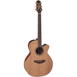 TAKAMINE NEX Cutaway Electro