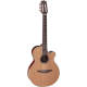 TAKAMINE FX Cutaway Electro