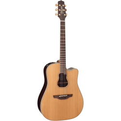 TAKAMINE Naturel