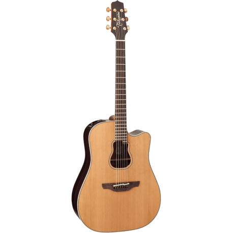 TAKAMINE Naturel