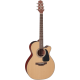 TAKAMINE P1NC natural satin