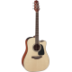 TAKAMINE P2DC natural satin