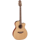 TAKAMINE P3MC natural satin