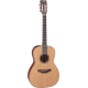 TAKAMINE P3NY natural satin