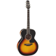 TAKAMINE P6N-BSB brown sunburst