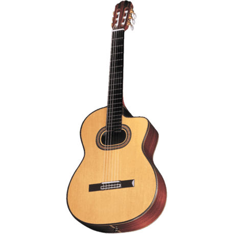 TAKAMINE TH90 natural gloss