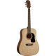 WASHBURN Apprentice D5 natural