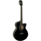 WASHBURN Festival EA12 noir