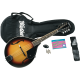 WASHBURN Pack mandoline type A M1 Sunburst
