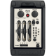 FISHMAN Aura Pro format large