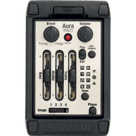 FISHMAN Aura Pro format large