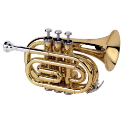 ALYSÉE TR-6500 - Trompette de poche Sib - vernie