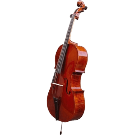 HERALD Violoncelle massif