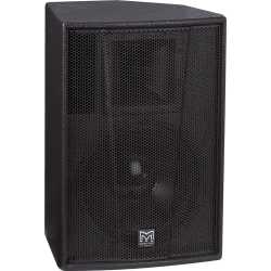 MARTIN AUDIO ENC.FACADE/RETOUR 2V 300W AES