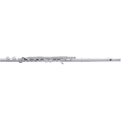 PEARL FLUTE Flûte alto tête droite PFA206S