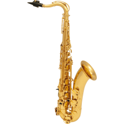 SML PARIS Saxophone ténor débutant verni T420-II