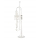 VINCENT BACH Trompette Sib LR180-37 Stradivarius