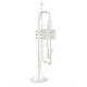 VINCENT BACH Trompette Sib LR180-43 Stradivarius