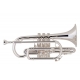 VINCENT BACH Cornet Sib 184 Stradivarius