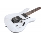 IBANEZ PWM20 Paul Waggoner