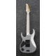 IBANEZ RG5170G Silver Flat