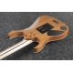 IBANEZ RG5120M Frozen Ocean