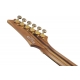 IBANEZ RGT1220PB Antique Brown Stained Flat