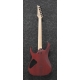 IBANEZ RG421PB Caribbean Shoreline Flat
