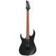 IBANEZ RG421EXL Black Flat