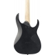 IBANEZ RG421EXL Black Flat