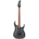 IBANEZ RGA42FM Transparent Gray Flat