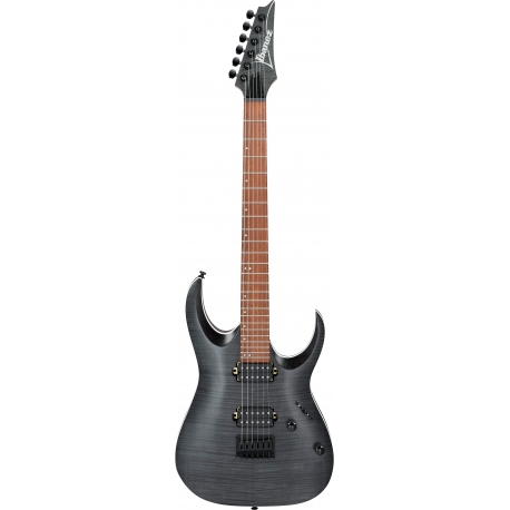 IBANEZ RGA42FM Transparent Gray Flat