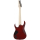 IBANEZ RGA742FM Transparent Gray Flat