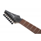 IBANEZ RGA742FM Transparent Gray Flat