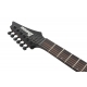 IBANEZ RGD61ALA Midnight Tropical Rainforest