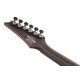IBANEZ RGD61ALA Midnight Tropical Rainforest