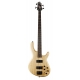 BASSE CORT ACTION DLX AS FRENE