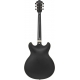 IBANEZ AS73G Black Flat