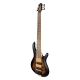 BASSE CORT C6H PLUS ZEBRA, ERABLE BURST