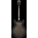 IBANEZ AS53 Transparent Black Flat