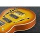IBANEZ TCB1006 Autumn Leaf Burst Matte Thundercat