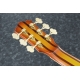 IBANEZ TCB1006 Autumn Leaf Burst Matte Thundercat
