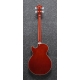 IBANEZ AGB200 Natural