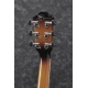IBANEZ JSA20 Vintage Burst High Gloss Joe Satriani