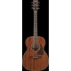 IBANEZ AC340 Open Pore Natural