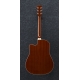 IBANEZ PF15ECE Natural High Gloss