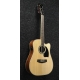 IBANEZ PF1512ECE Natural High Gloss