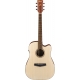 IBANEZ PF10CE Open Pore Natural