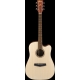 IBANEZ PF10CE Open Pore Natural